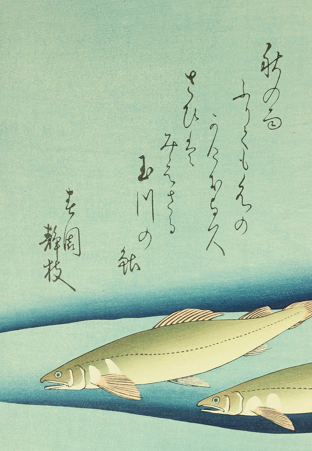 Product image 113