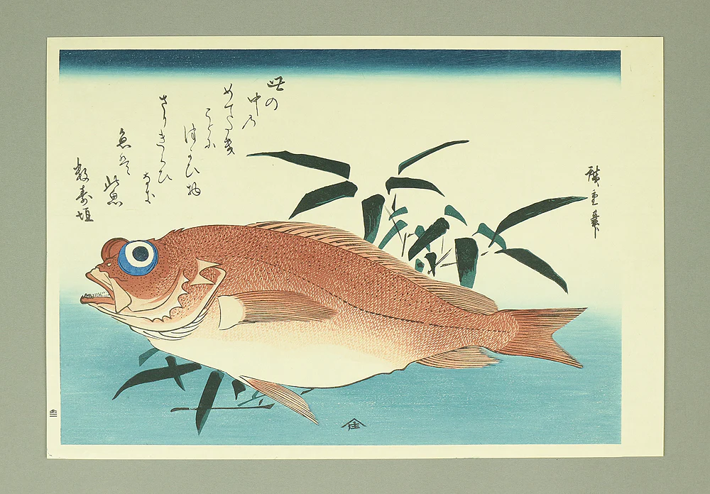 Product image 126