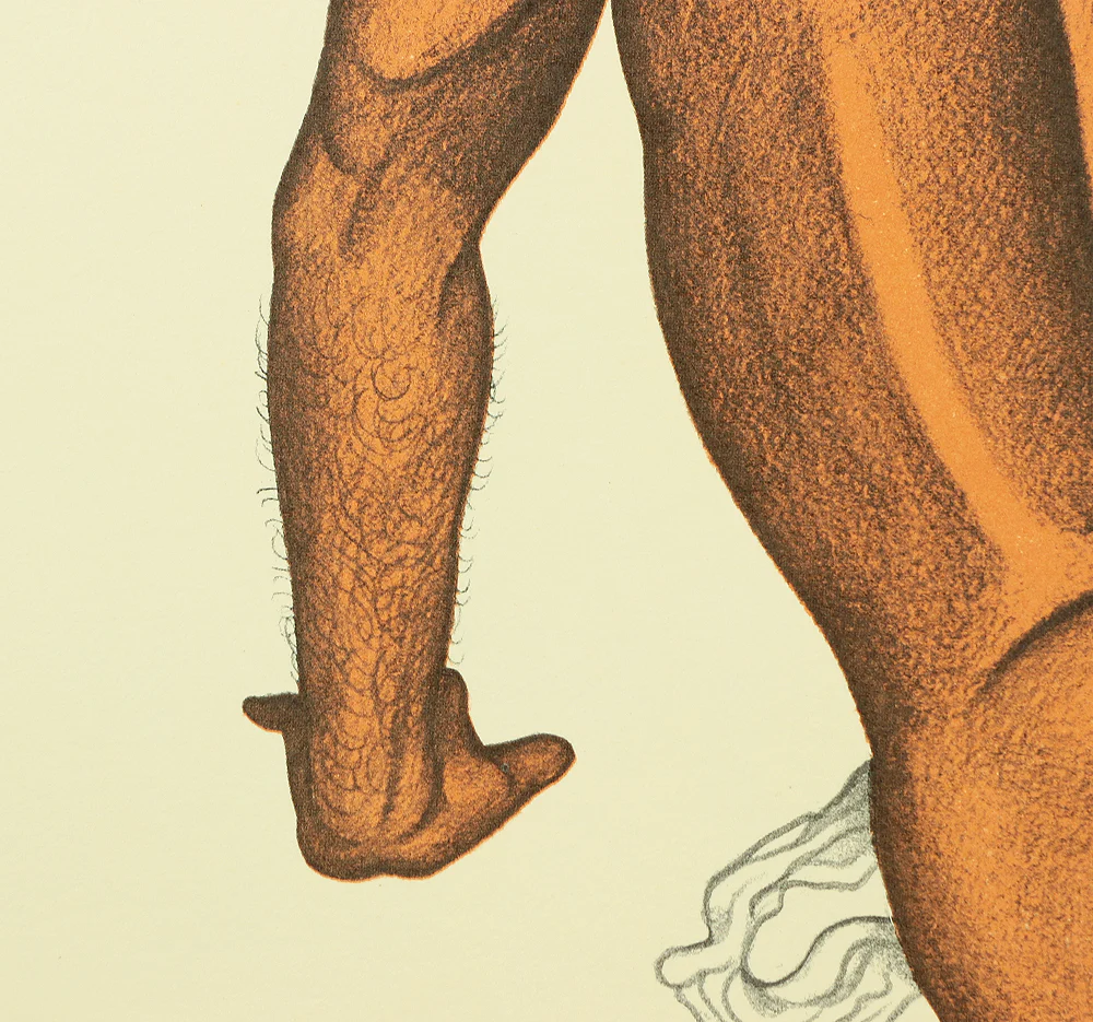 Product image 177