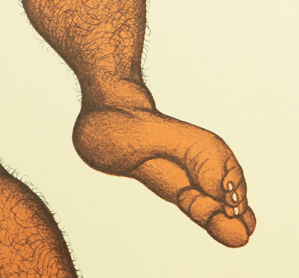 Product image 179