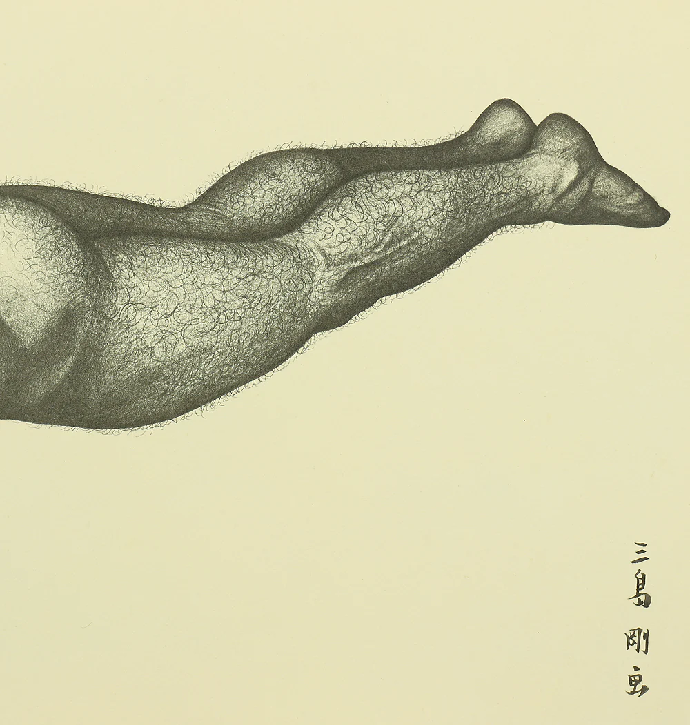 Product image 203