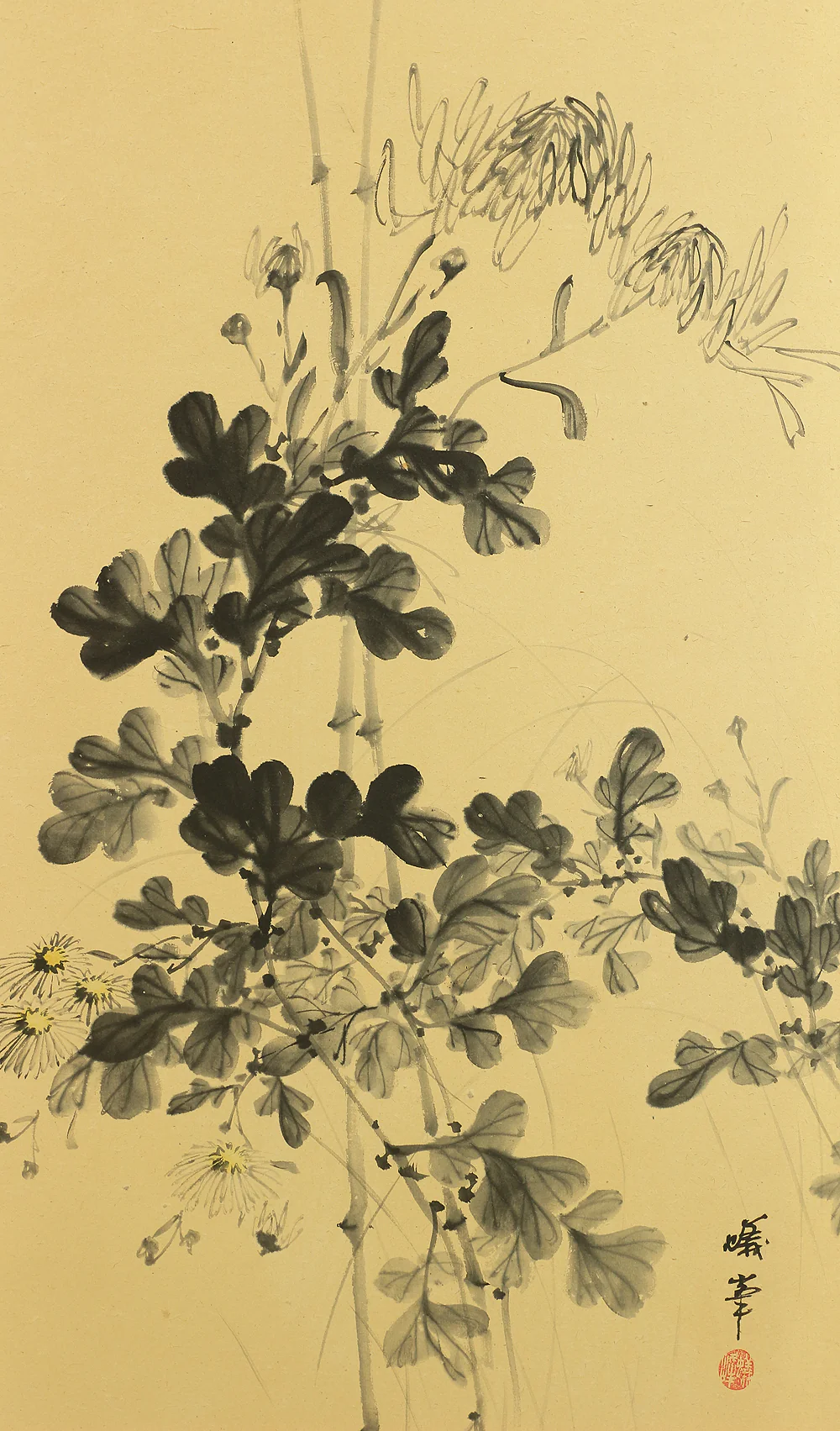 Product image 50