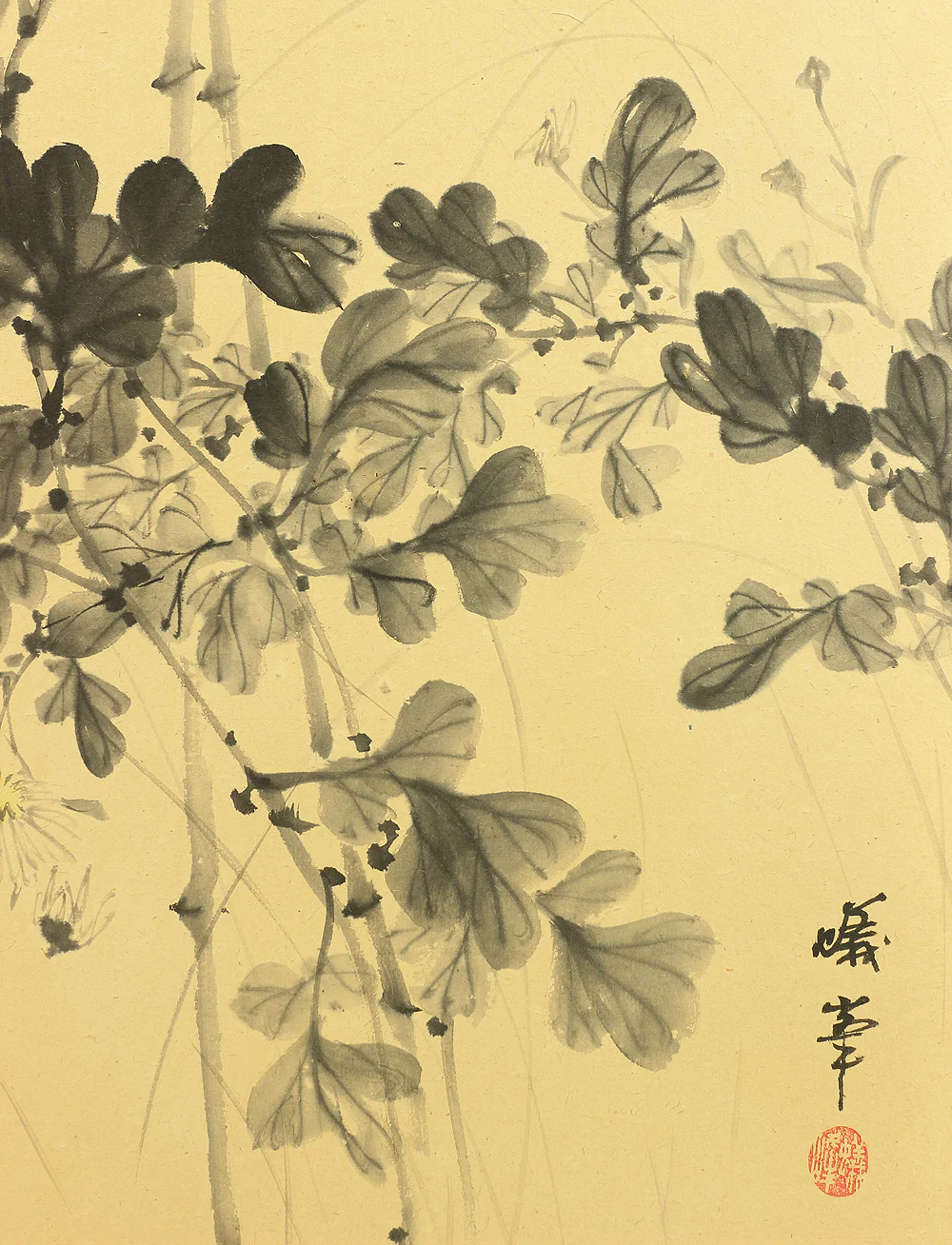 Product image 53